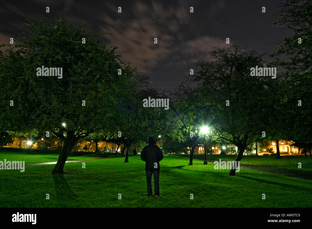 man stood under a tree in a park at night looking out towards a path and street lamps Stock Photo