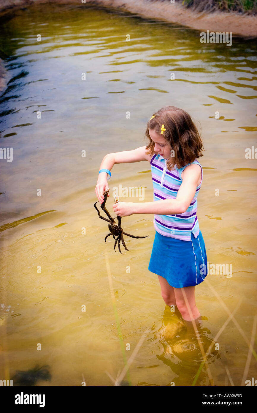 Young girl standing in salt marsh picking up and holding live crab by it s  claws Stock Photo - Alamy