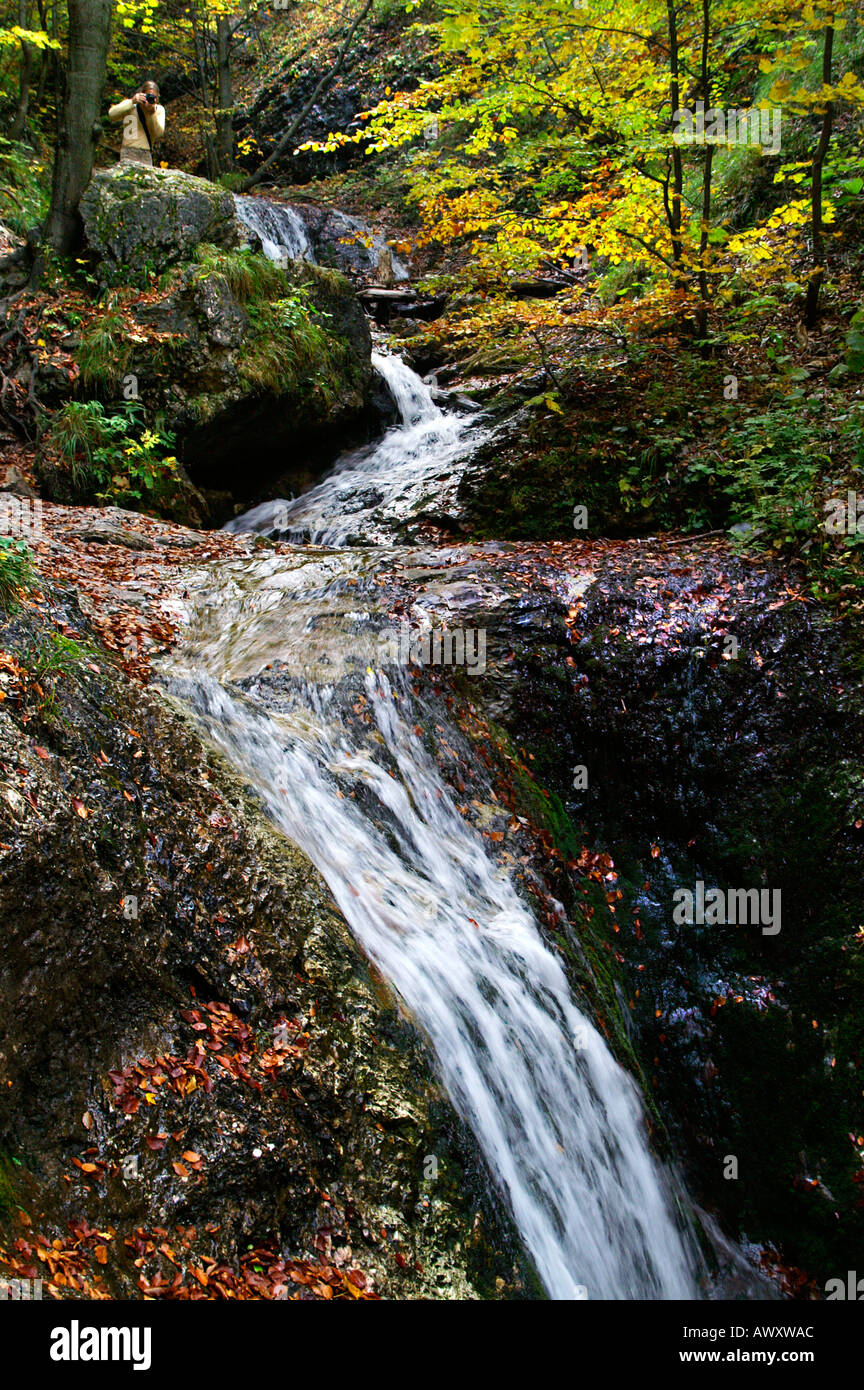 Waterfalls of autumnal Horne Diery Gorge, Mala Fatra mountain range, Slovakia Stock Photo