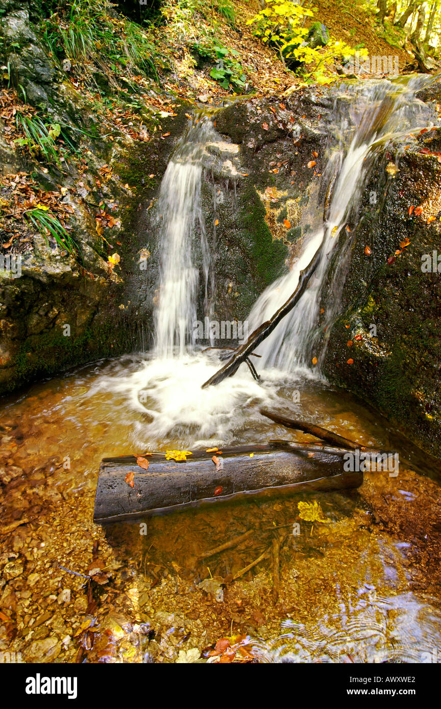 Waterfalls of autumnal Horne Diery Gorge, Mala Fatra mountain range, Slovakia Stock Photo