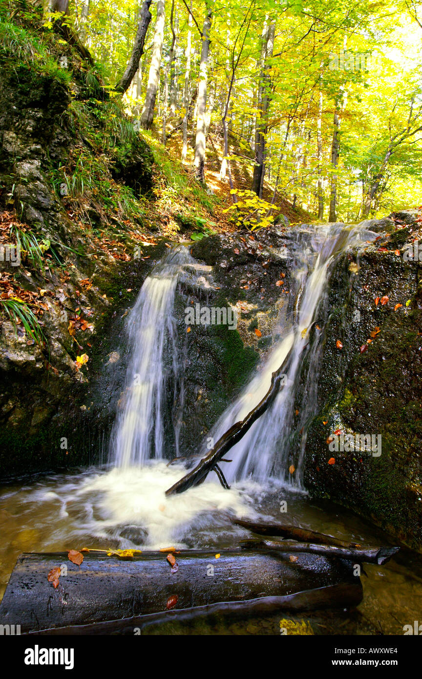 Waterfalls of autumnal Horne Diery Gorge, Mala Fatra mountain range, Slovakia Stock Photo