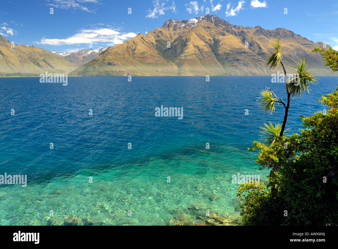 Lake Wakatipu near Queenstown New Zealand South Island Stock Photo - Alamy