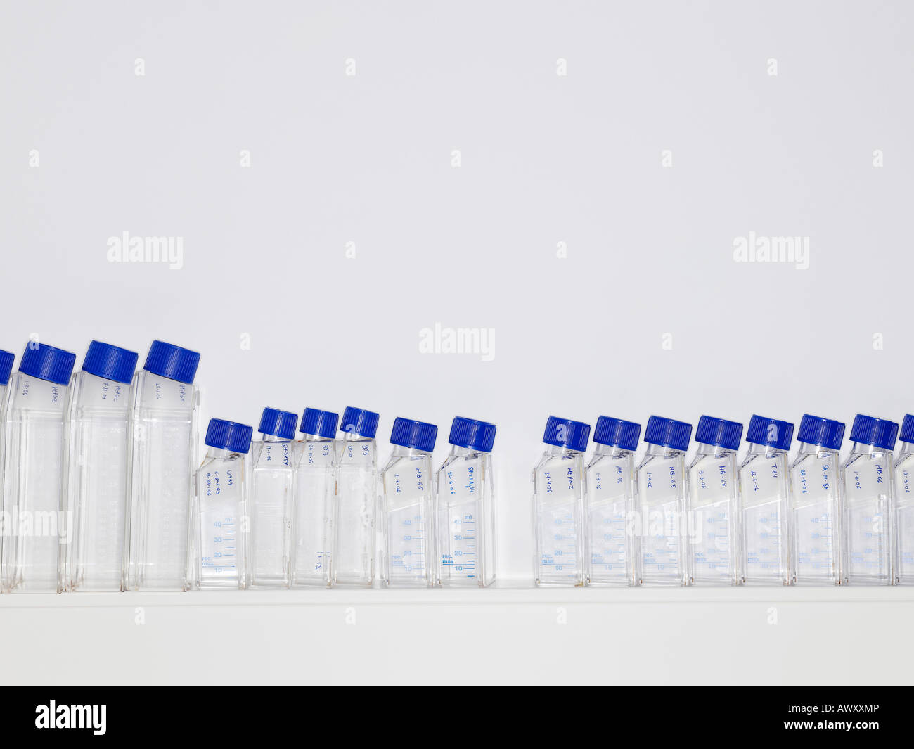 Row of specimen bottles on shelf Stock Photo Alamy