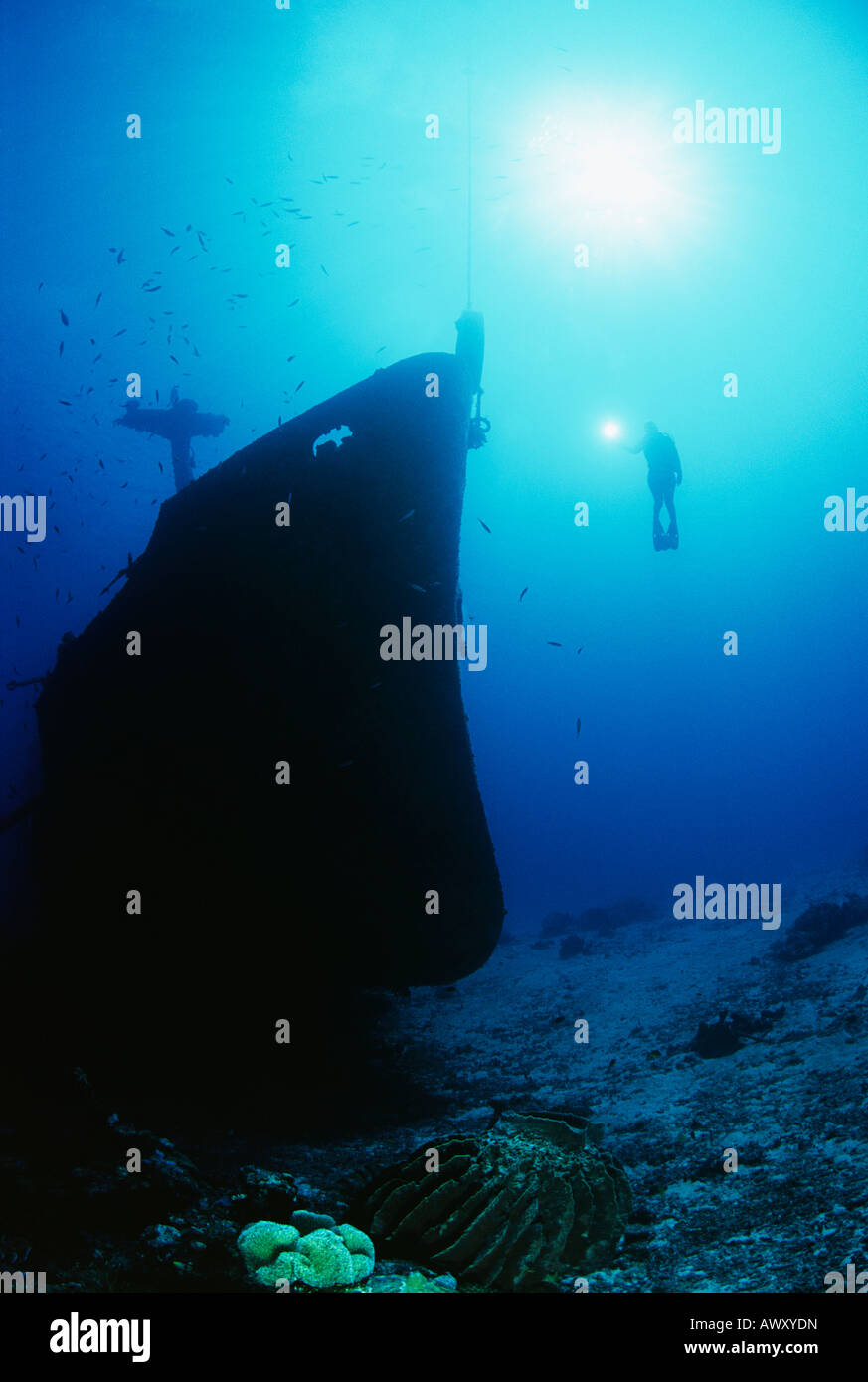 Diver exploring bow of sunken fishing trawler Stock Photo