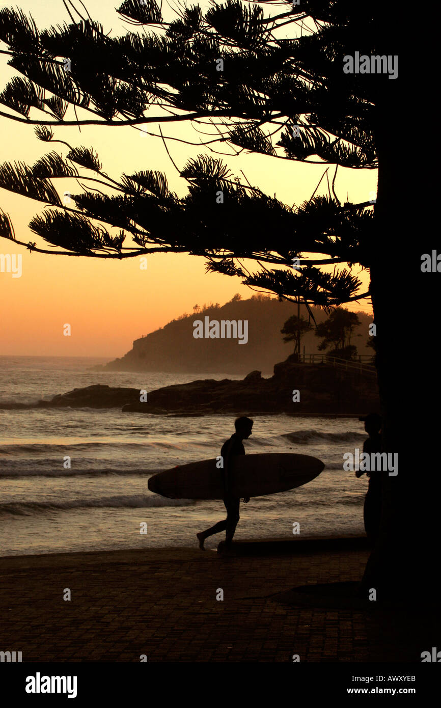 Dawn surfer walks at South Steyne Manly beach Stock Photo