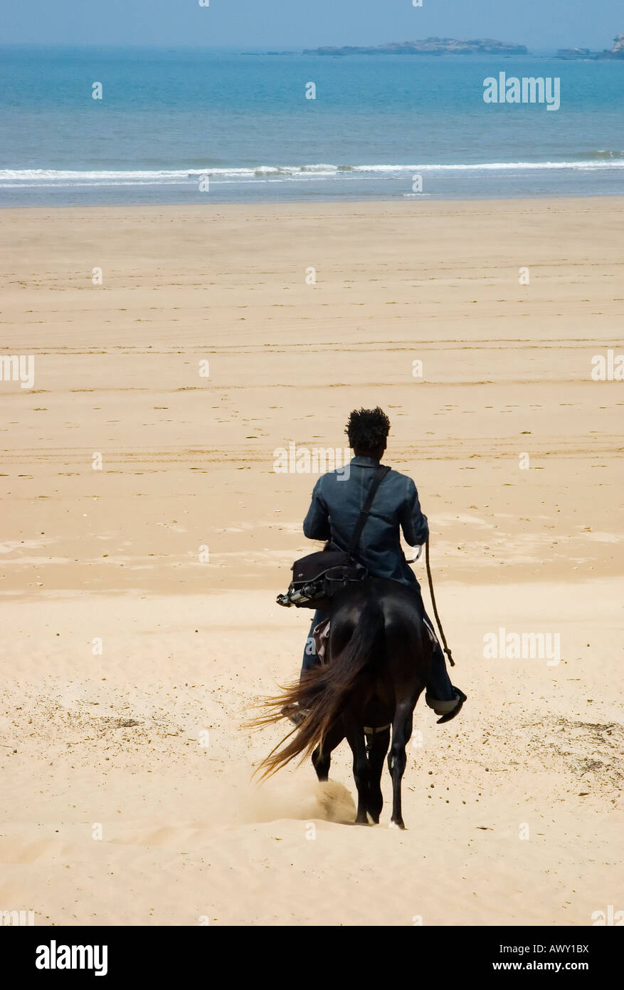 A black man ride an horse under a sand dune near the ocean Essaouira Morocco Space for text Stock Photo