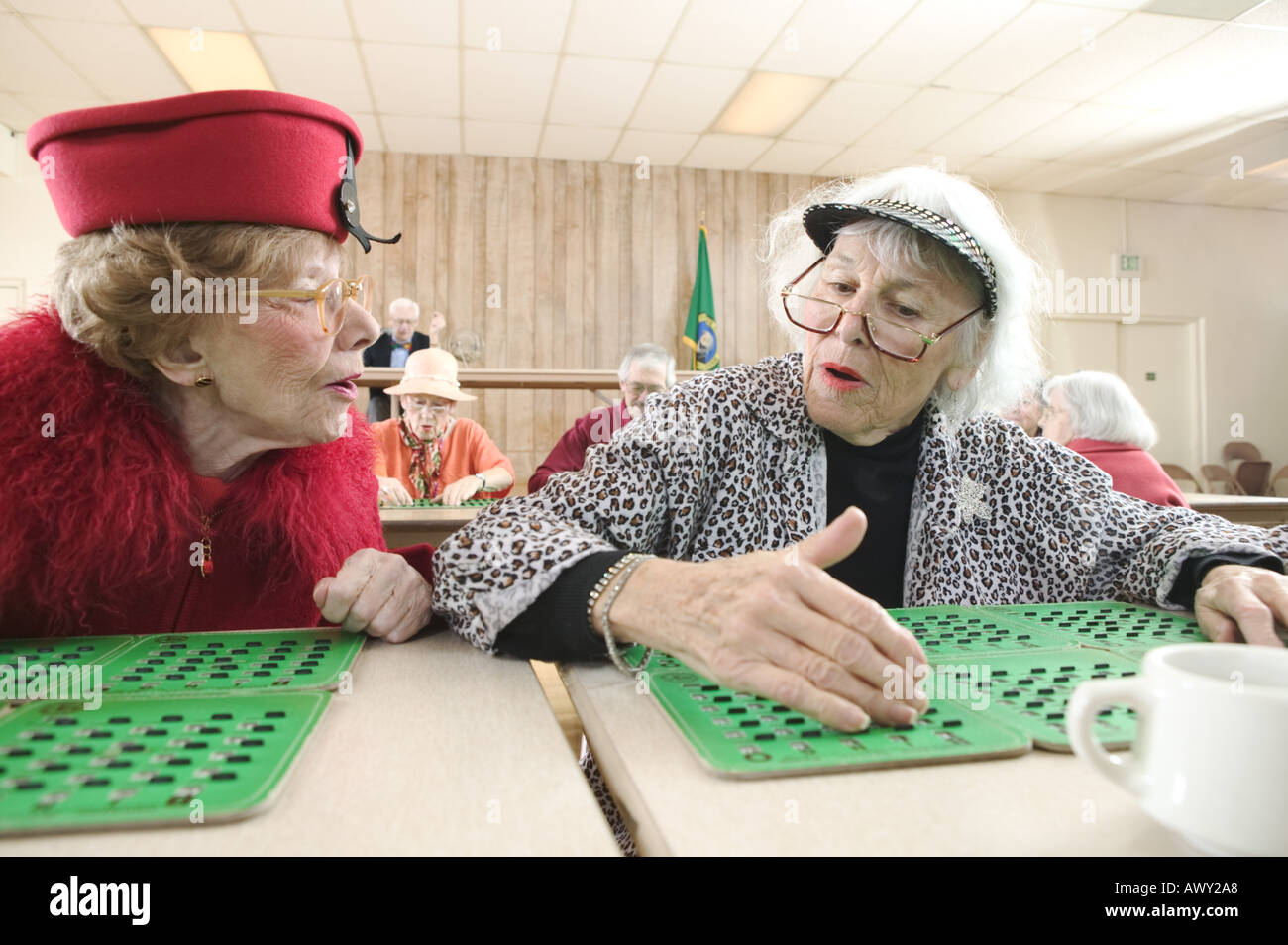 Можно бабушке играть. Бабушки играют в лото. Во что играют бабушки. Бабушка играет в карты. Старики играют в Бинго.