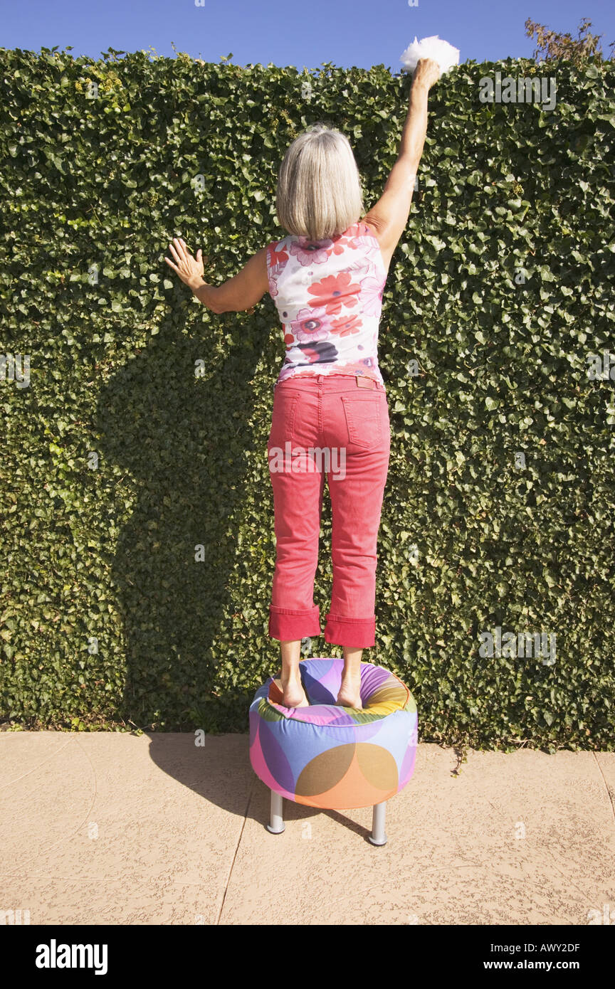 Woman dusting the top of her hedge Stock Photo