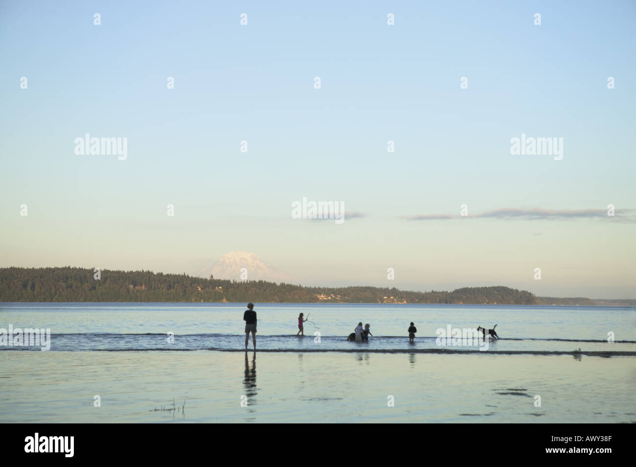 People in shallow water at sunset Stock Photo
