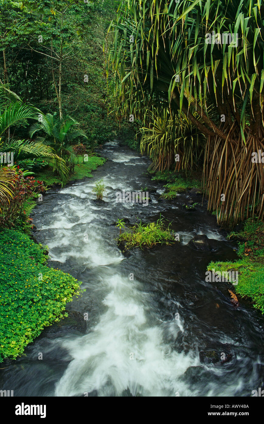 Costa Rica Tabacon Resort hot springs Stock Photo Alamy