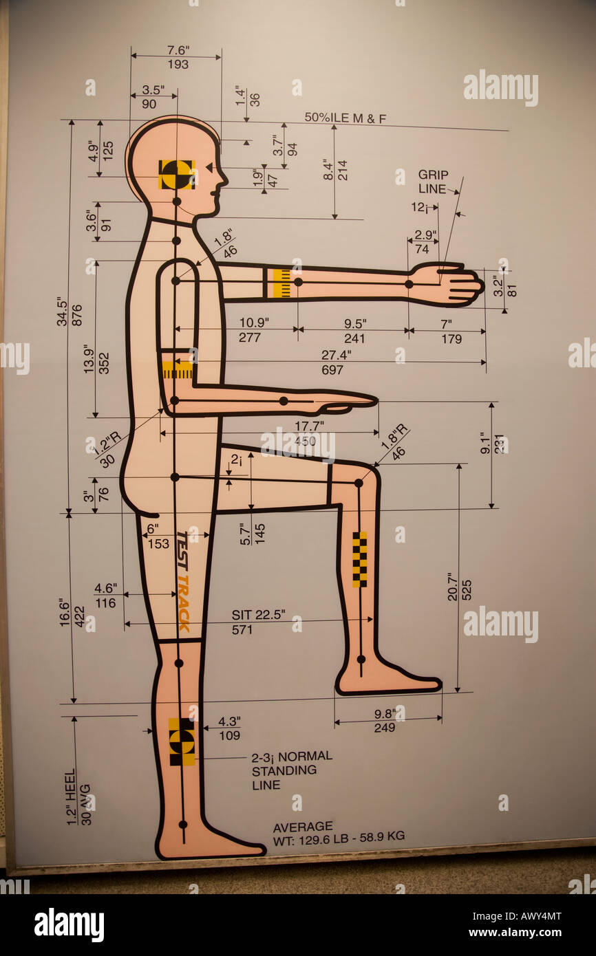 Usa Safety puppet Stock Photo Alamy