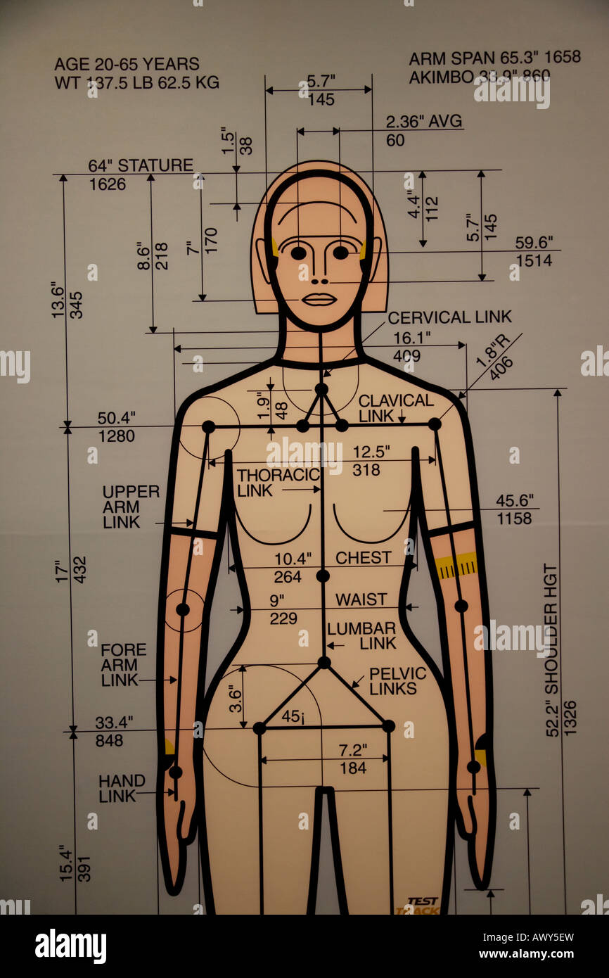 Usa Safety puppet Stock Photo Alamy