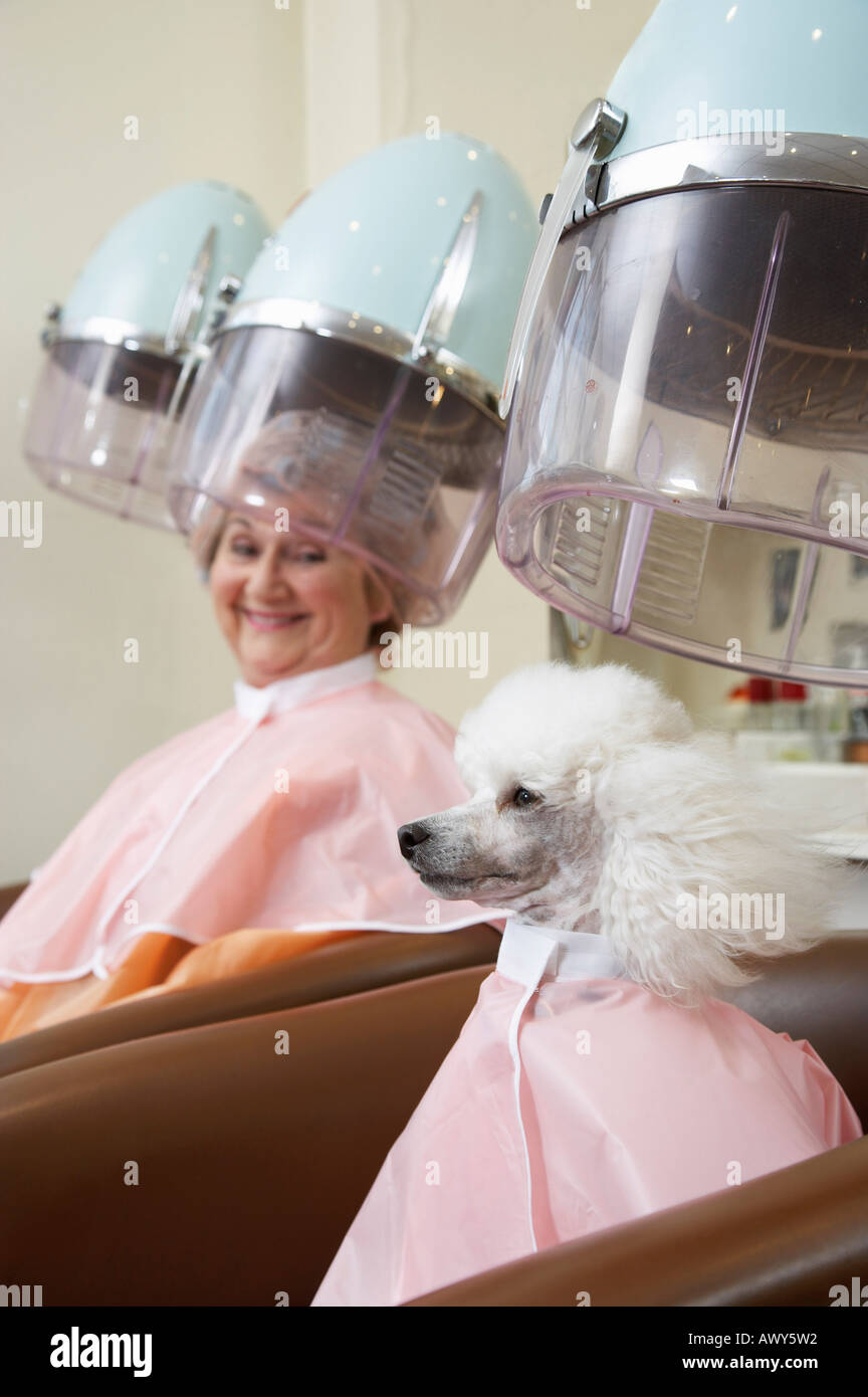 Lady poodle hairstyle hi-res stock photography and images - Alamy
