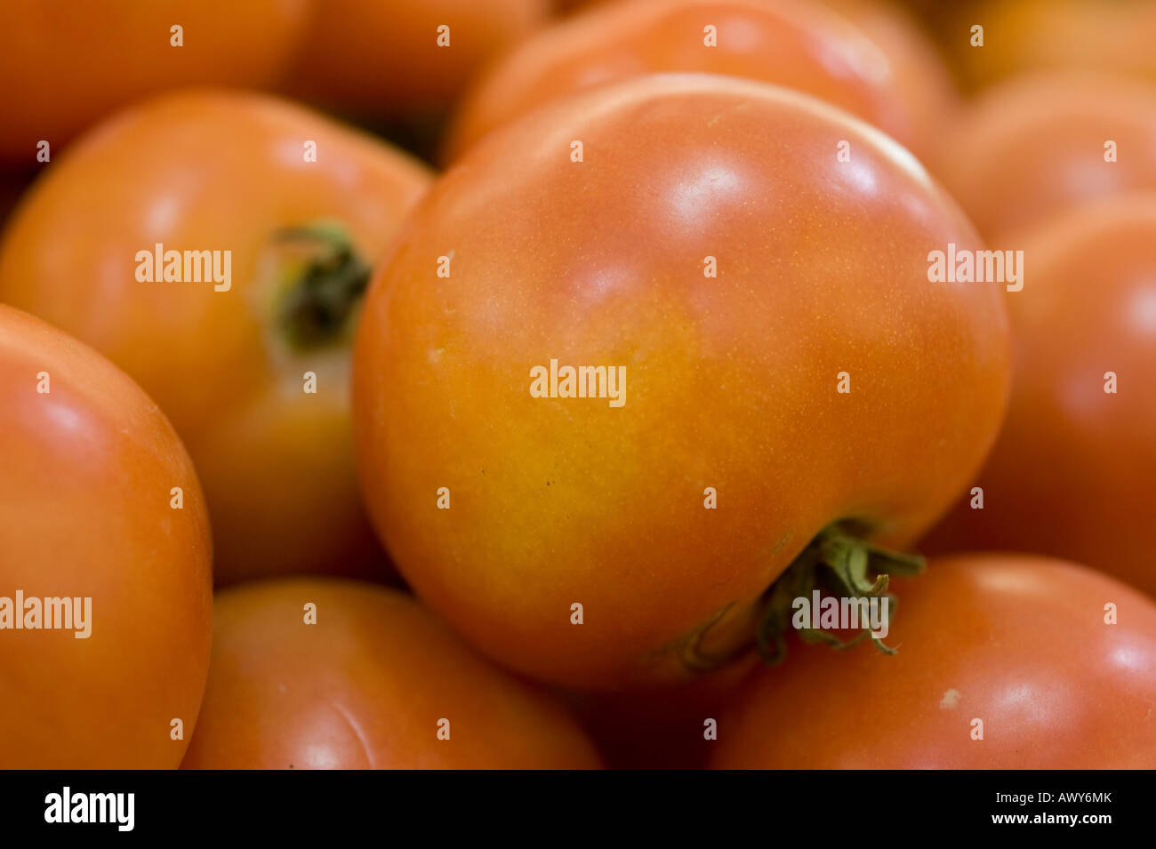 A pile of fresh ripe red tomatoes Stock Photo - Alamy