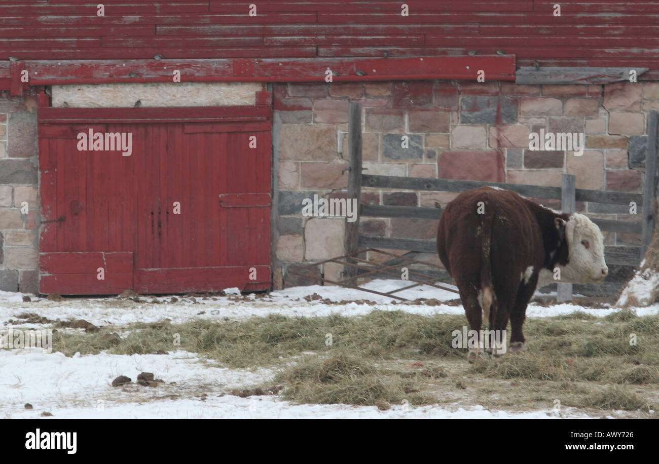 Colourful barn door in scenic Saskatchewan Canada Stock Photo Alamy