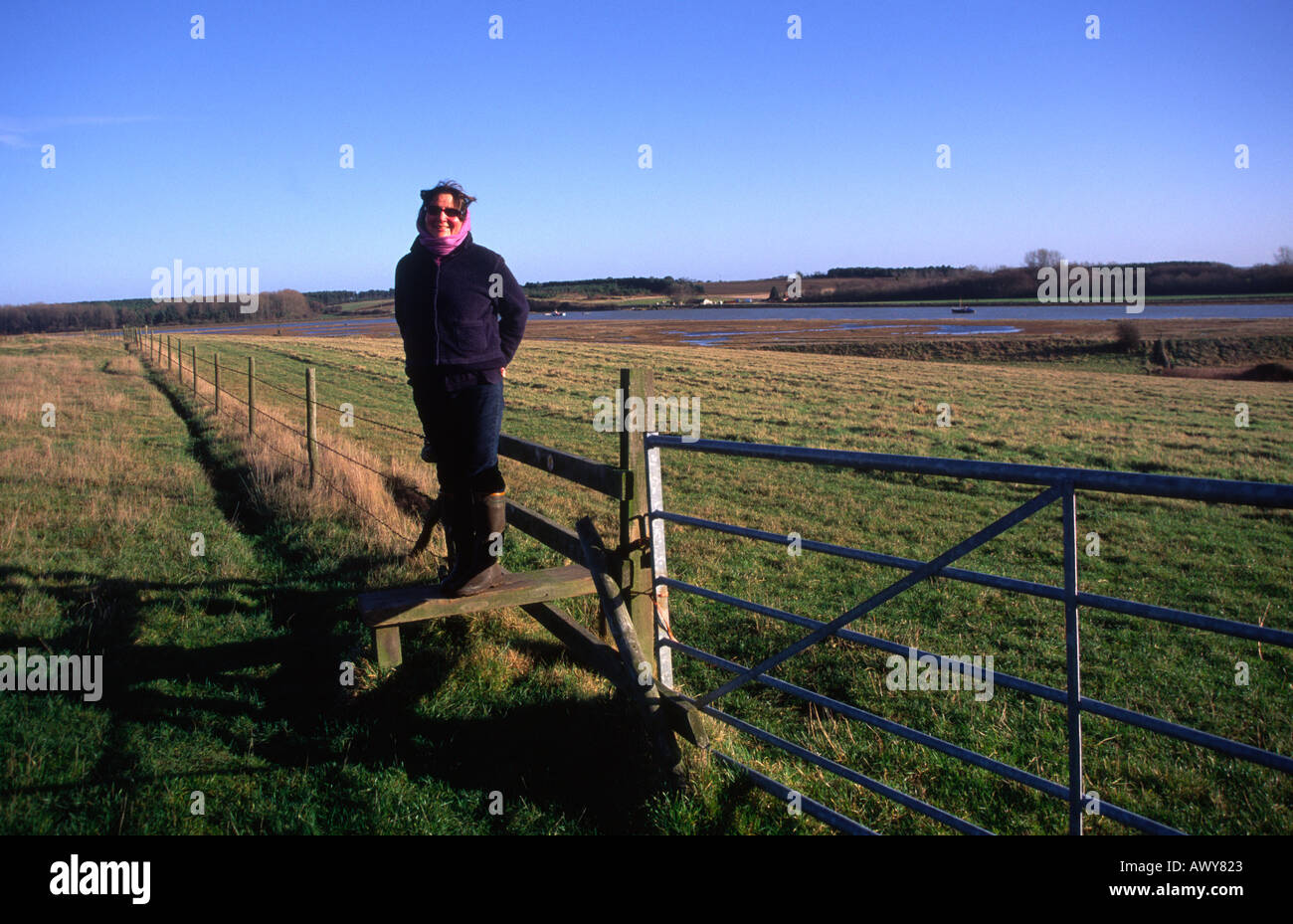 Country walk Suffolk England Stock Photo Alamy