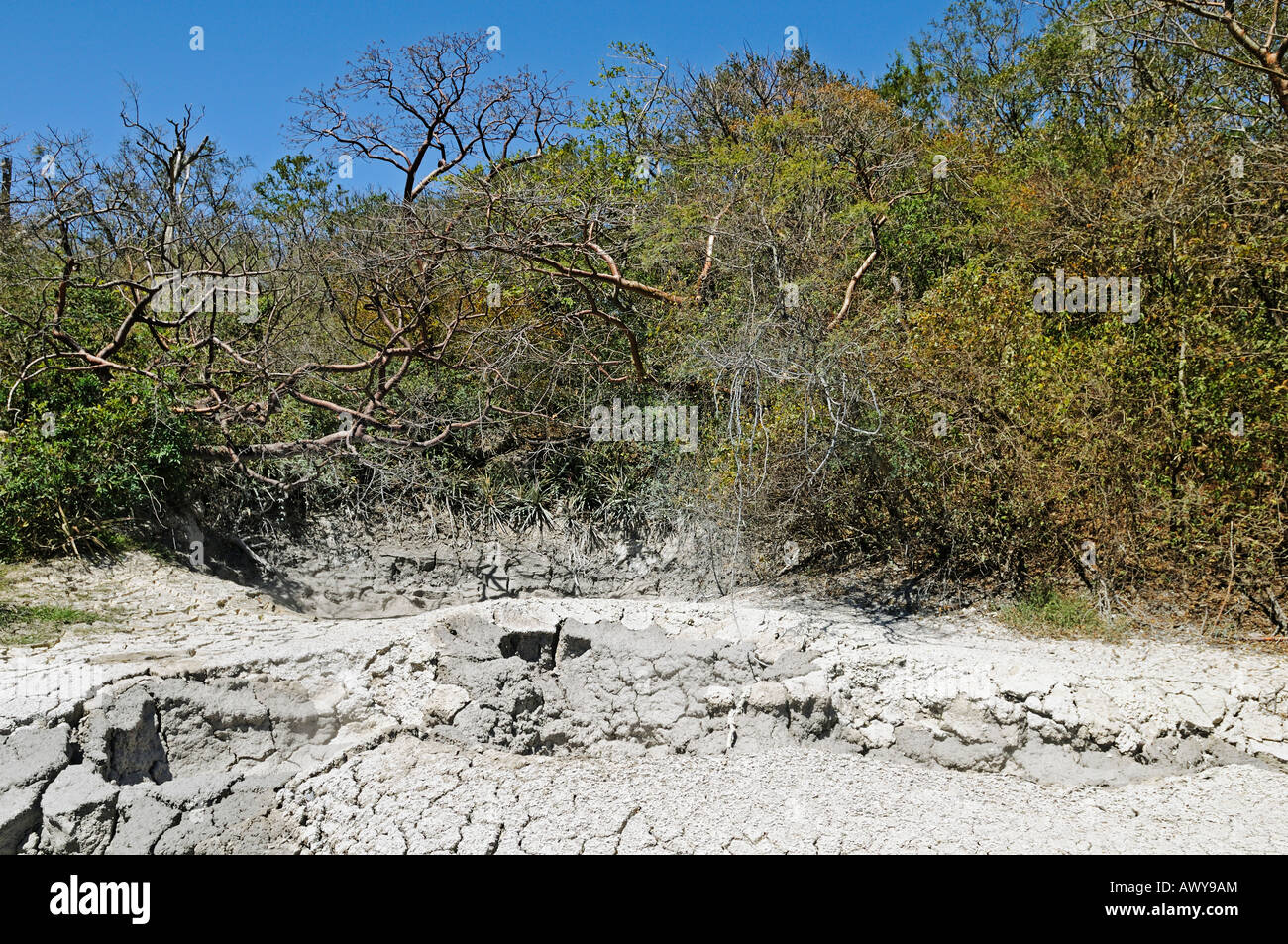Volcanic hot springs with mud and sulfur, Rincon de la Vieja National Park, Costa Rica, Central America Stock Photo