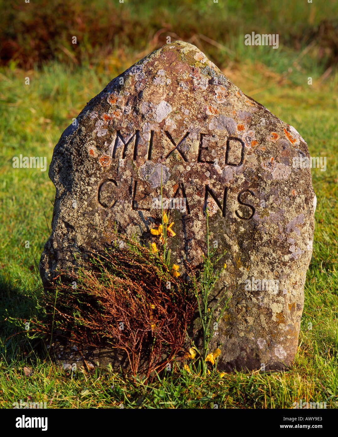 Battle of Culloden Jacobite gravestone of Mixed Clans. Culloden Moor
