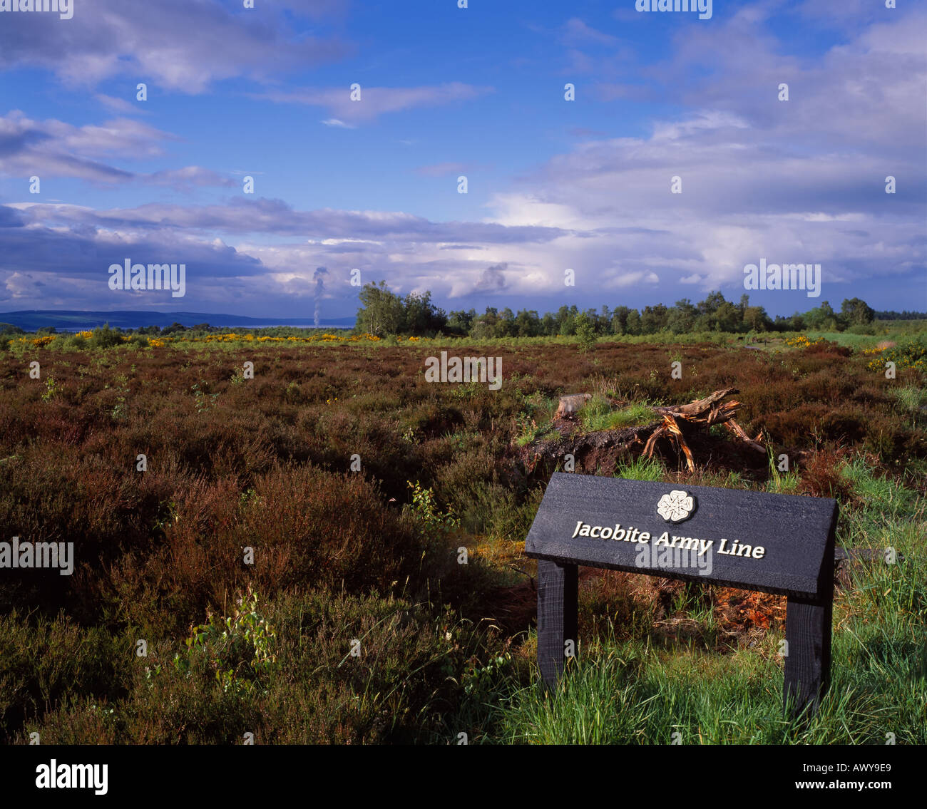 Culloden Moor, near Inverness, Highland, Scotland, UK. Battle of Culloden, showing the position of the Jacobite Army Line Stock Photo