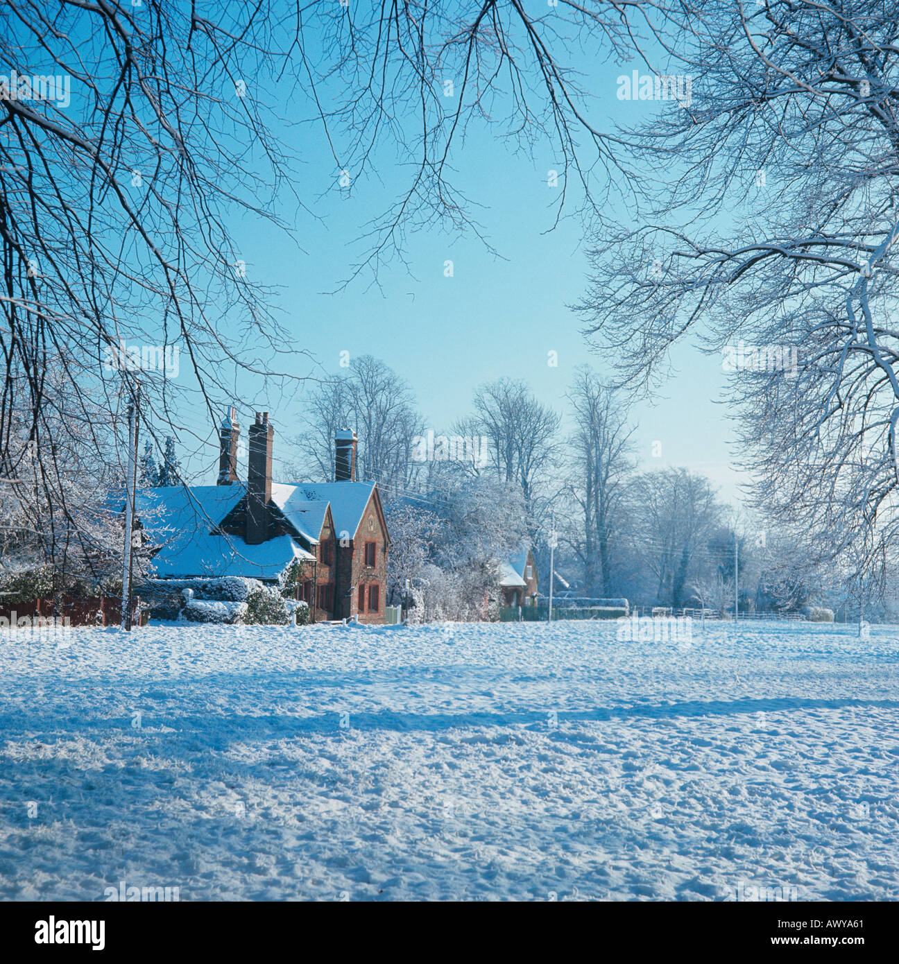 Little Gaddesden Herts UK Winter Stock Photo Alamy