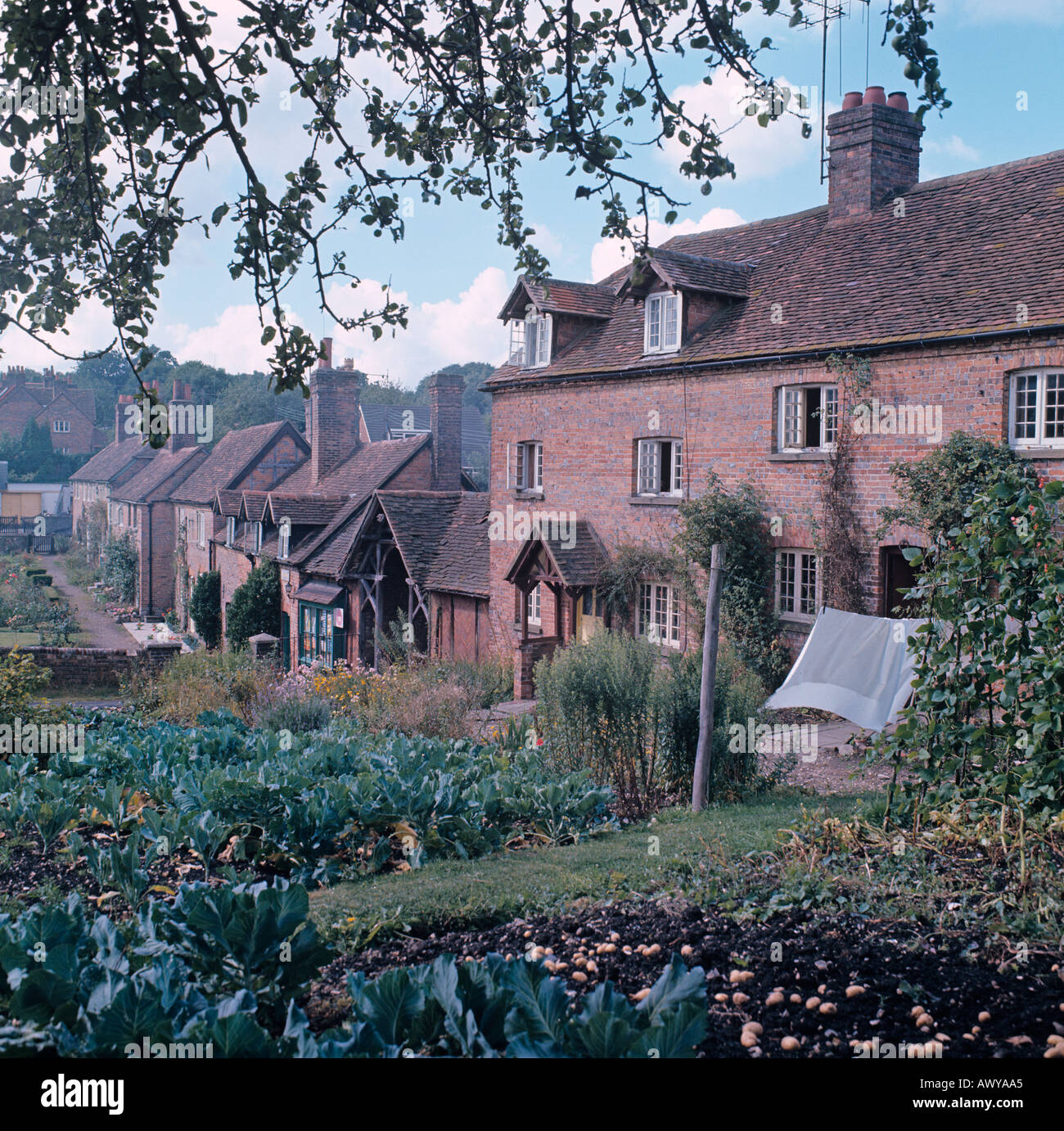 Ancient Cottages at the small hamlet of Ringshall in Hertfordshire UK Stock Photo
