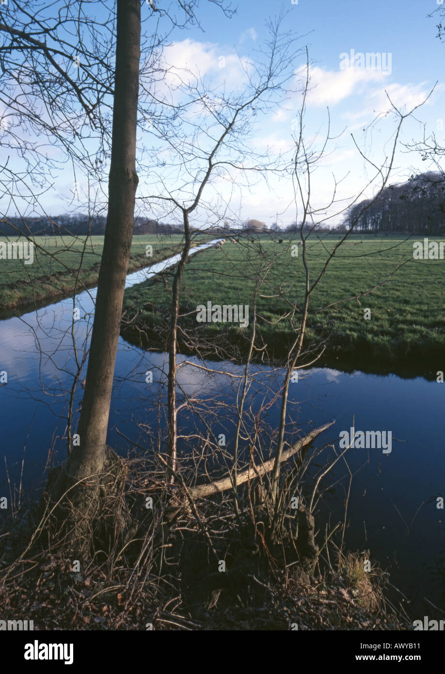DUTCH POLDER SEARCH visual data 2