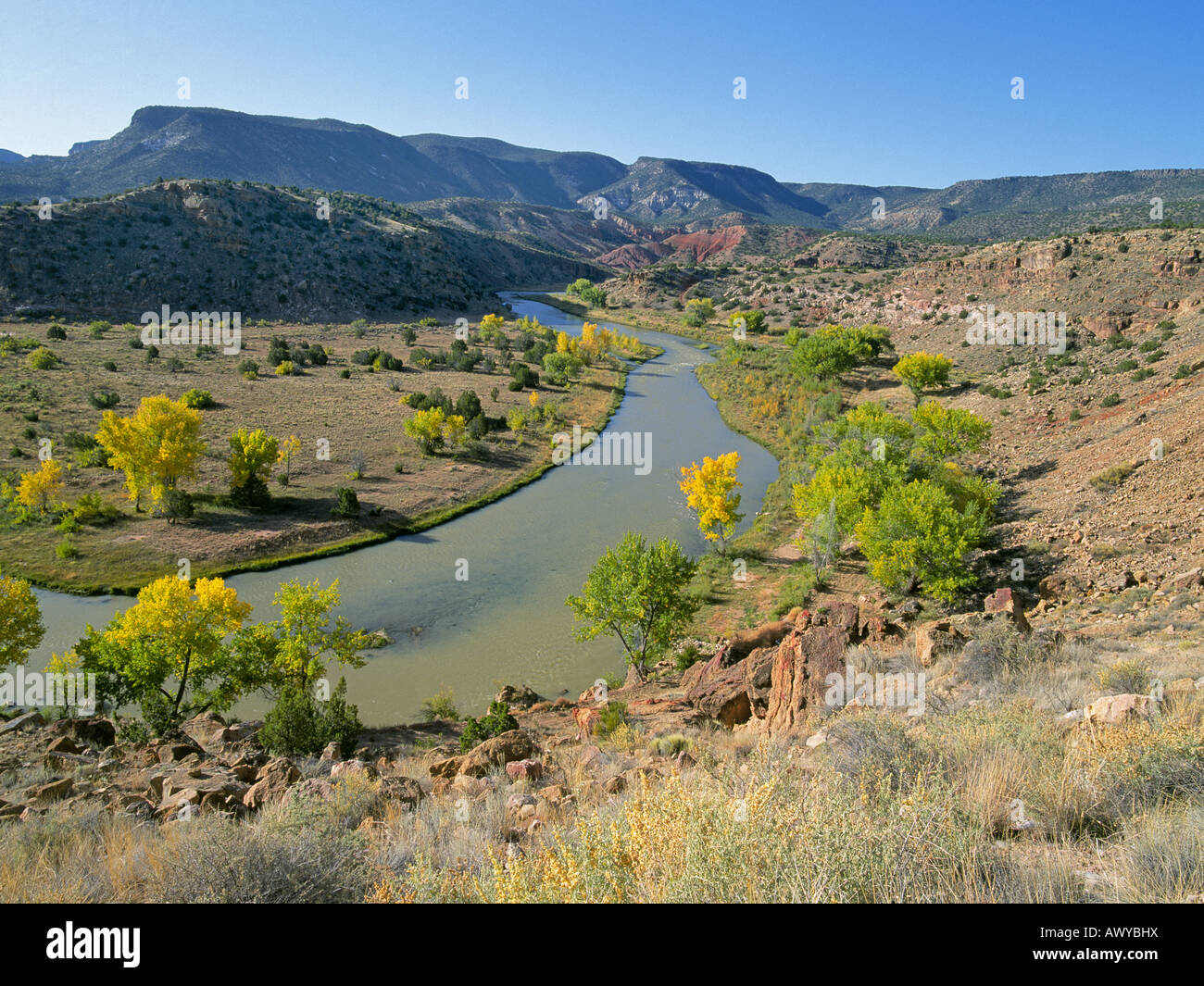 A view of the Chama River in autumn near Abiqui New Mexico where artist Georgia OKeefe lived and painted Stock Photo
