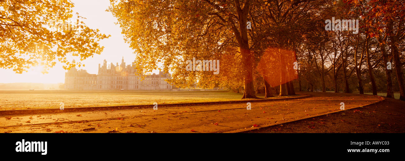 FRANCE CHATEAU DE CHAMBORD VIEWED THROUGH TREES AUTUMN Stock Photo