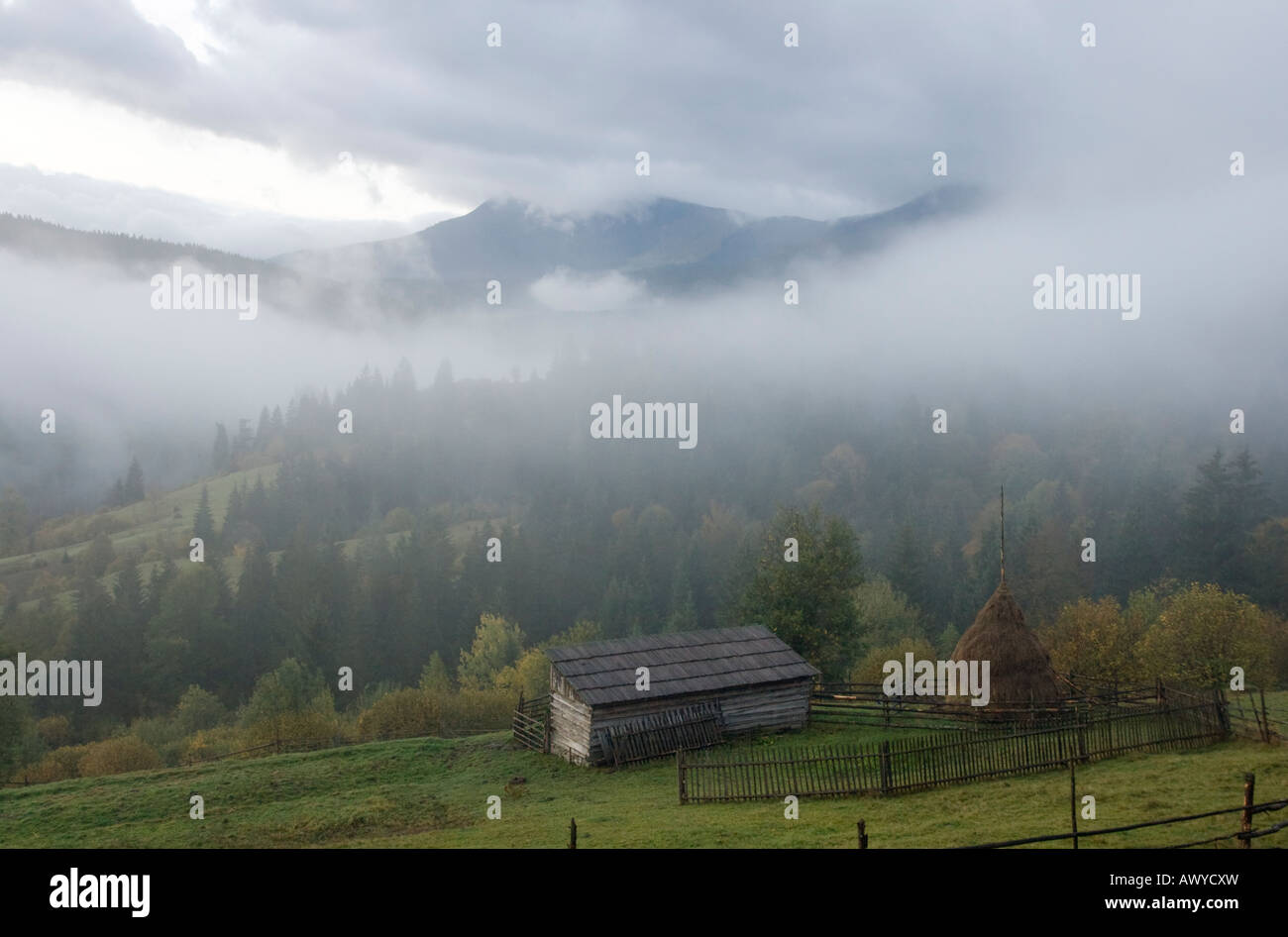 Misty early daybreak in autumn Carpathian mountain (Ukraine Stock Photo ...