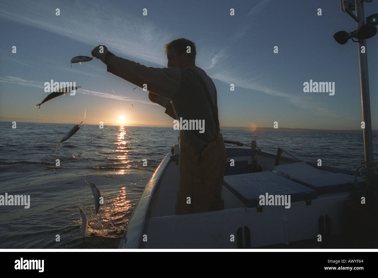Hand line fisherman retrieving a line from behind his boat full of ...