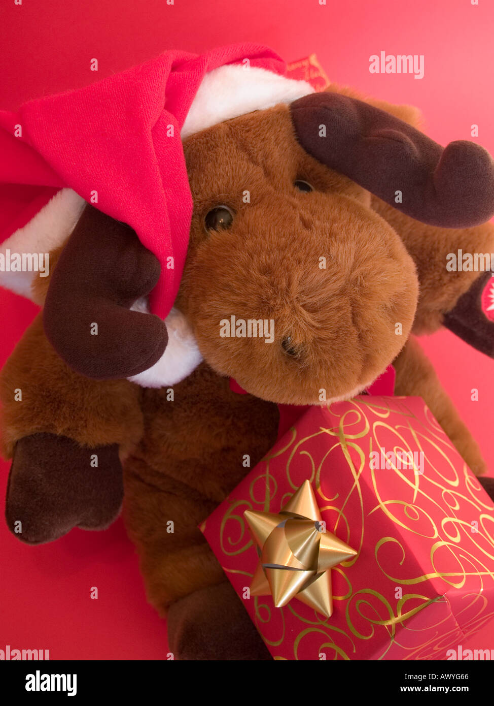 christmas cuddly toy