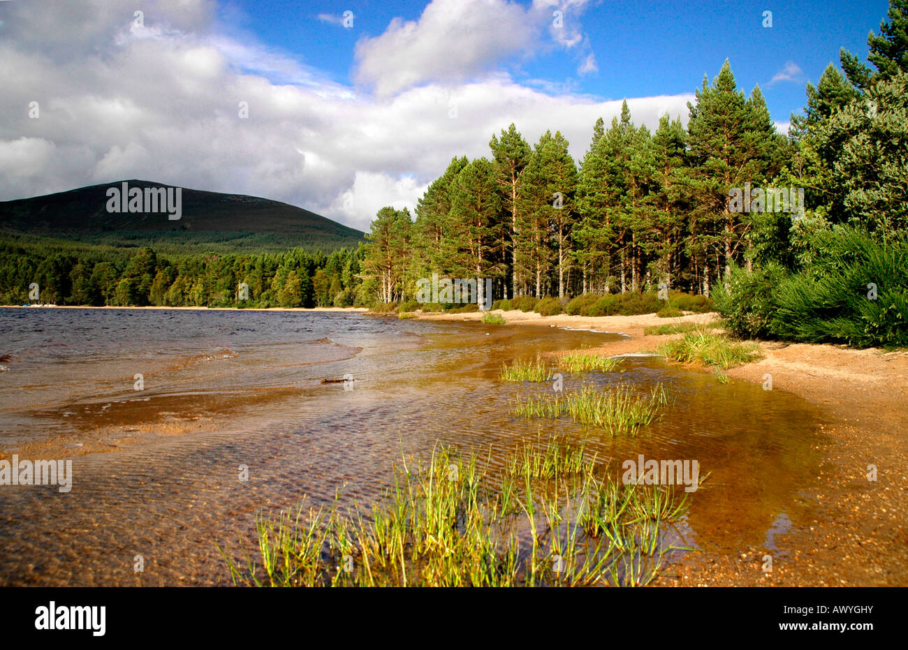 A view from the edge of the waters of Loch Morlich - Cairngorms Stock Photo