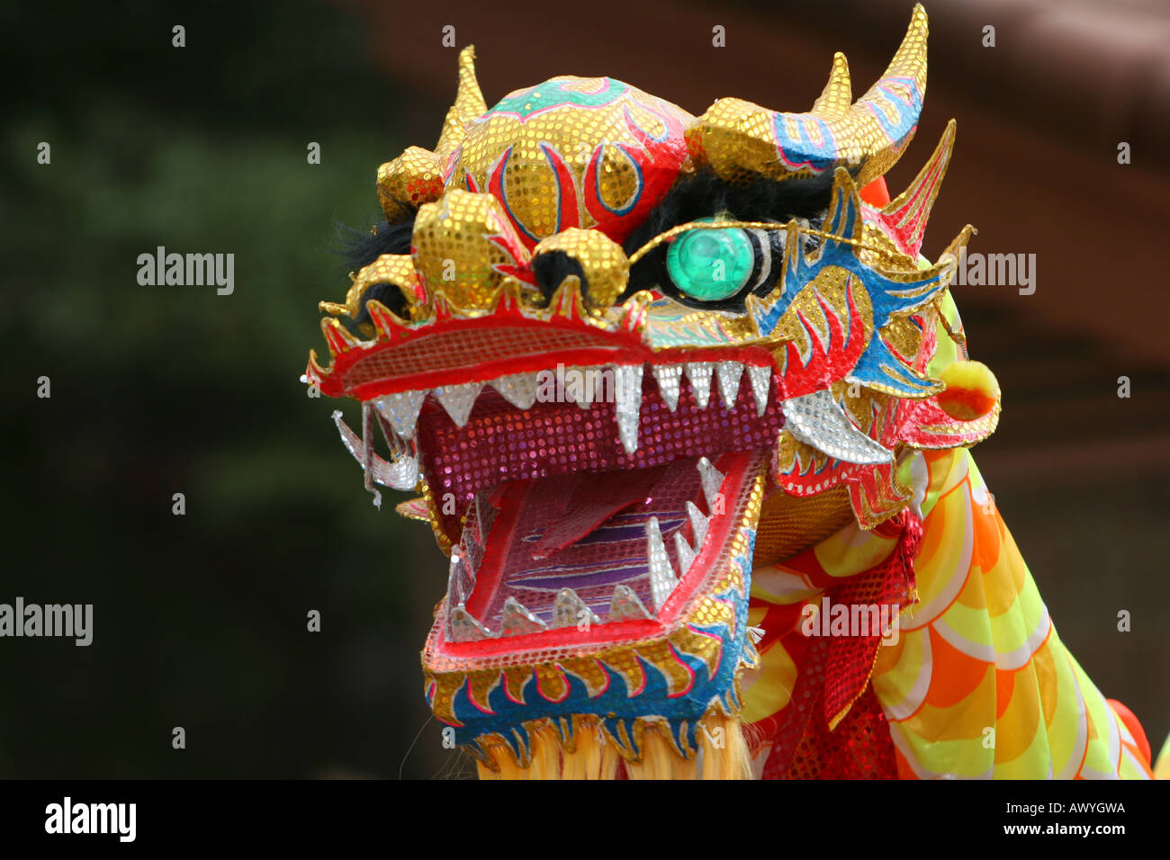 Dancing Dragon in Chinese new year parade Stock Photo