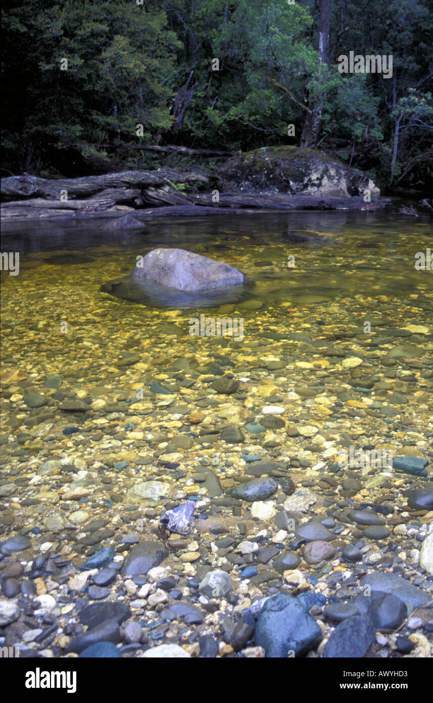 Stained Rivers Tannin stained waters of the pristine Franklin River Wild Rivers ...