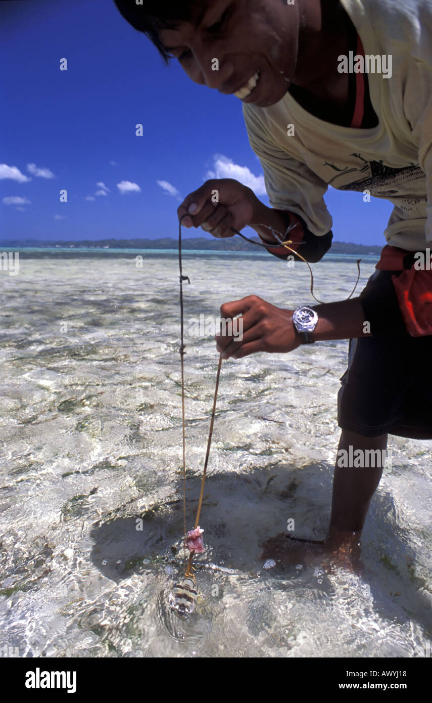 catching a large mantis shrimp using traditional baited bamboo lasso Stock Photo