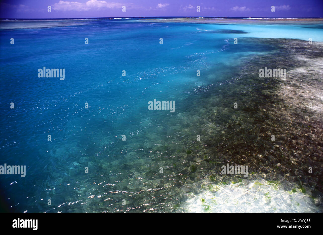 Tide going out across seagrass flats and coral reef crest to the Indian Ocean near Bwejuu Zanzibar Tanzania Stock Photo