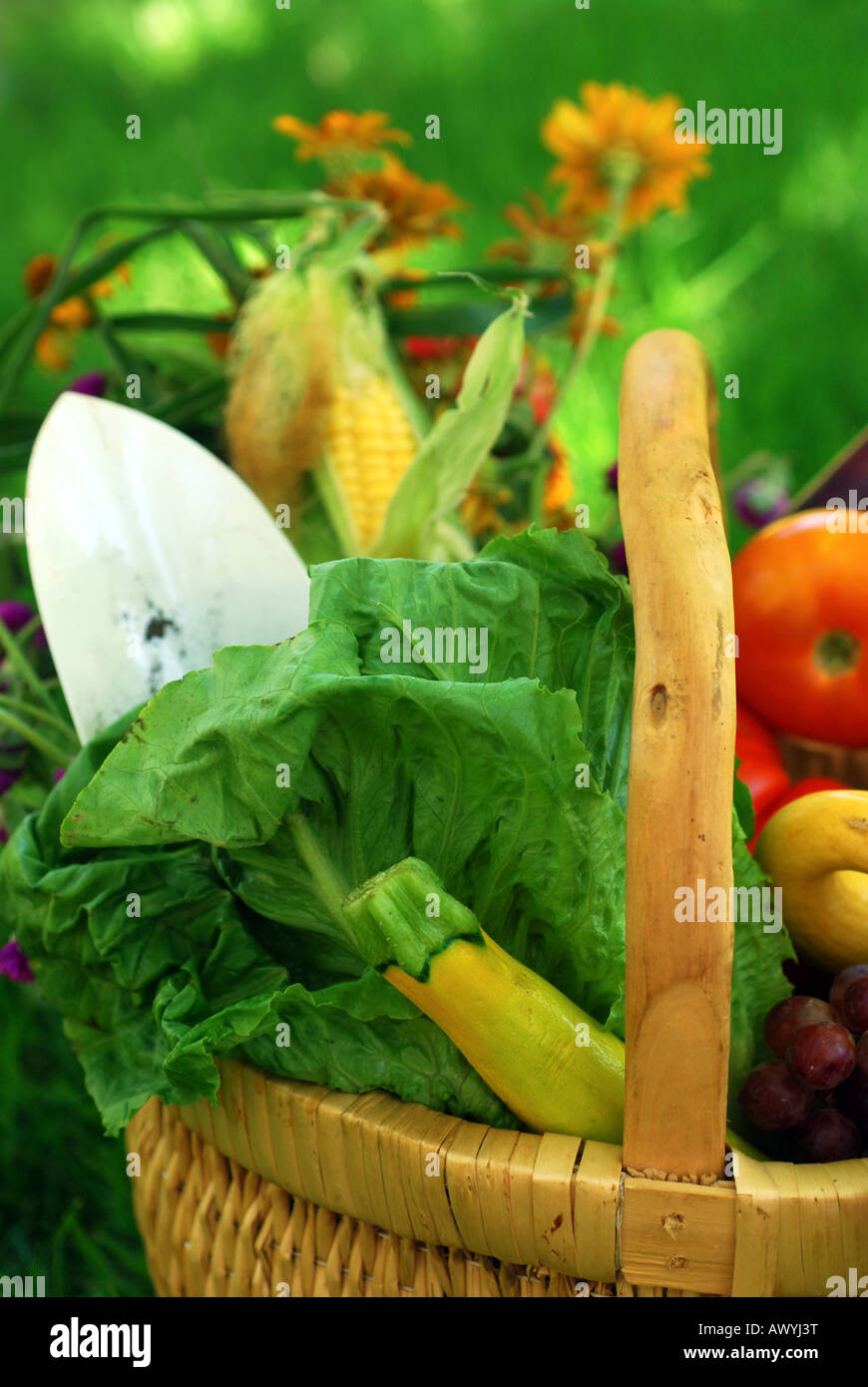 Wicker basket filled with fruits vegetables and flower fresh from the ...