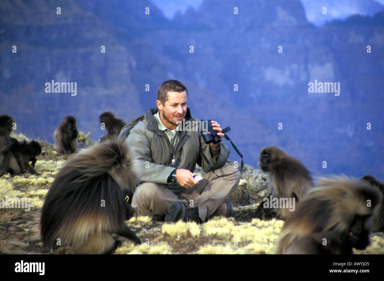 Primatologist Dr Chadden Hunter studying the endangered gelada baboon