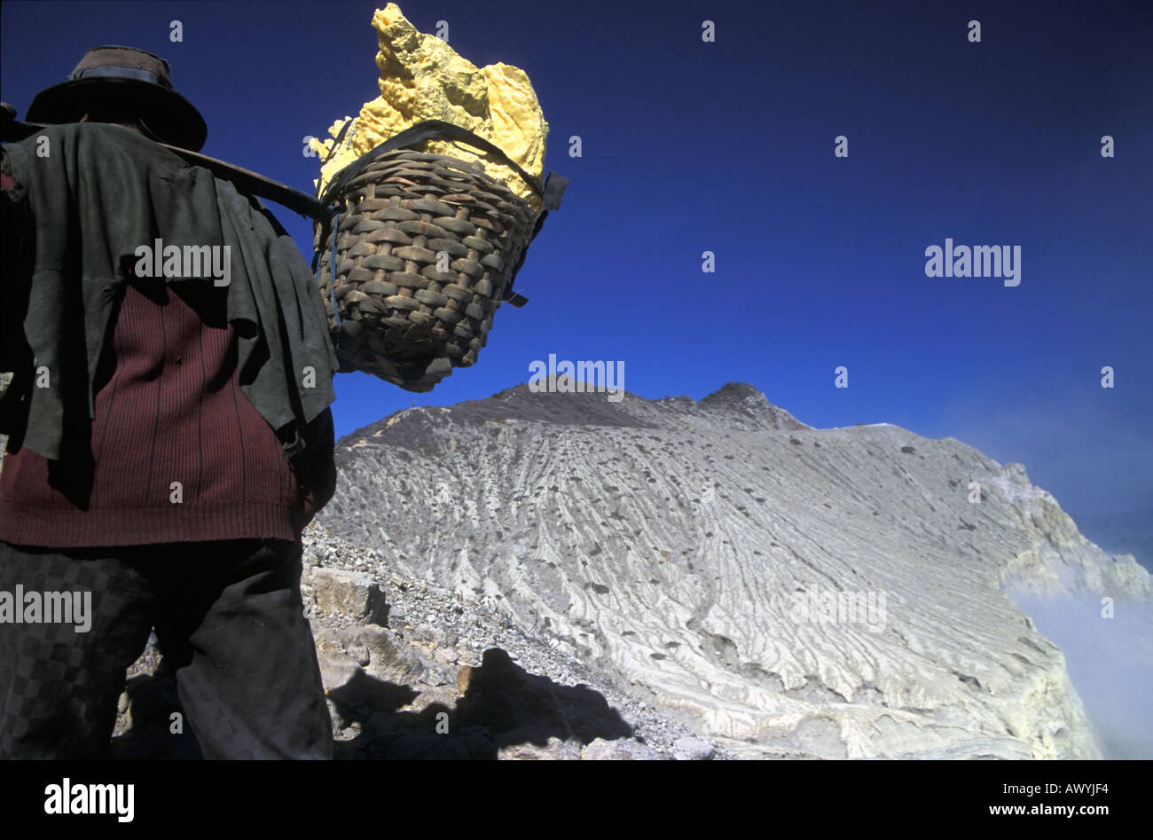 Miner carrying chunks of yellow elemental sulphur out of the active volcanic crater of Gunung Ijen eastern Java Indonesia Stock Photo