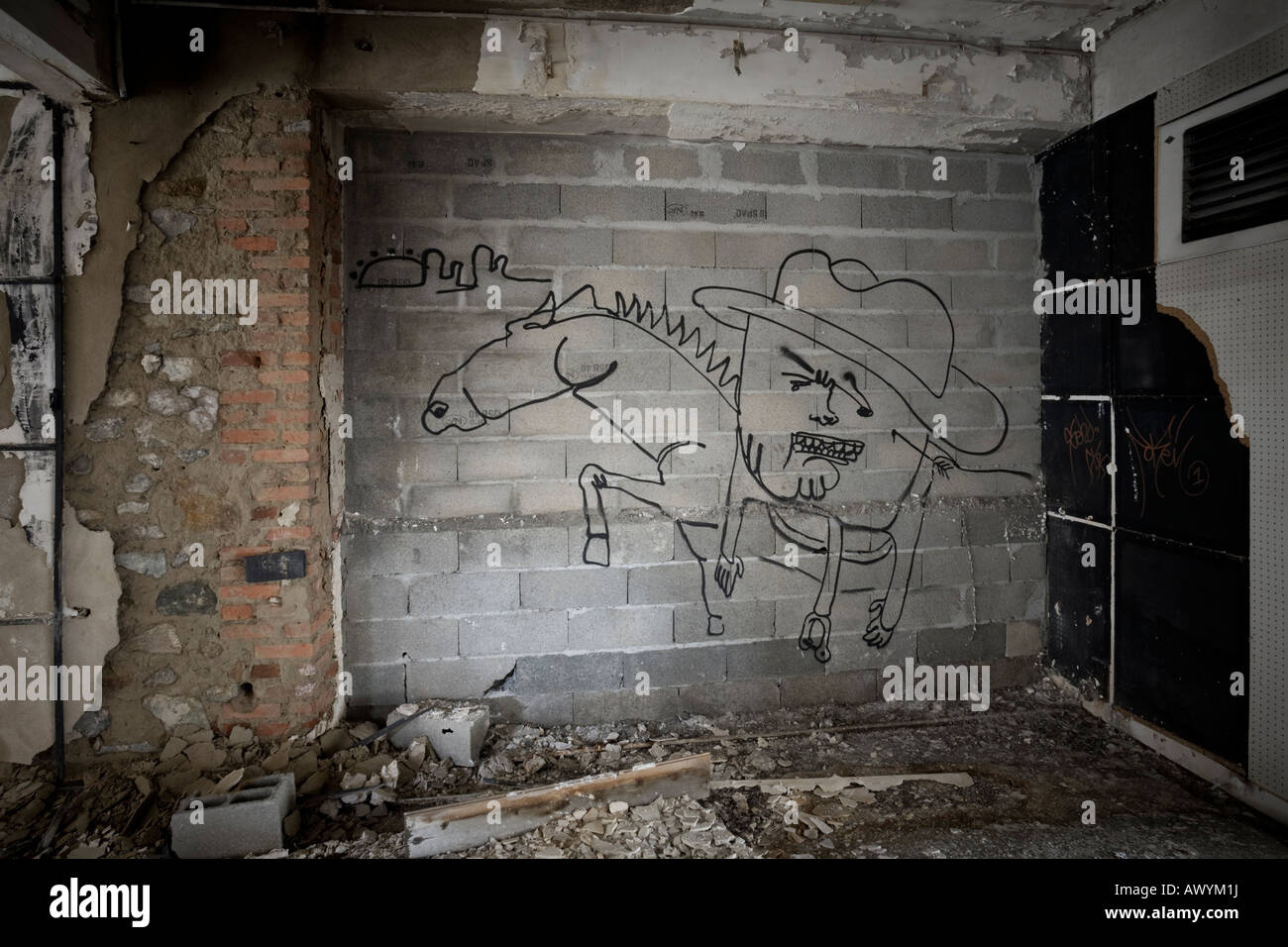 Graffiti in a brownfield site located in Vichy (France). Graffiti dans