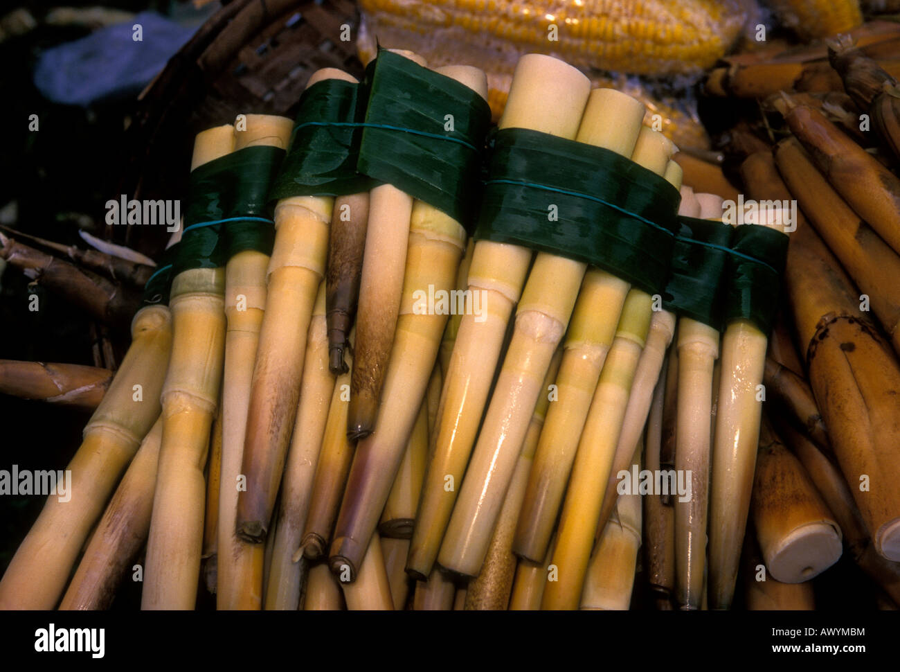bamboo shoots, food vendor, fruit and vegetable vendor, market, Chiang