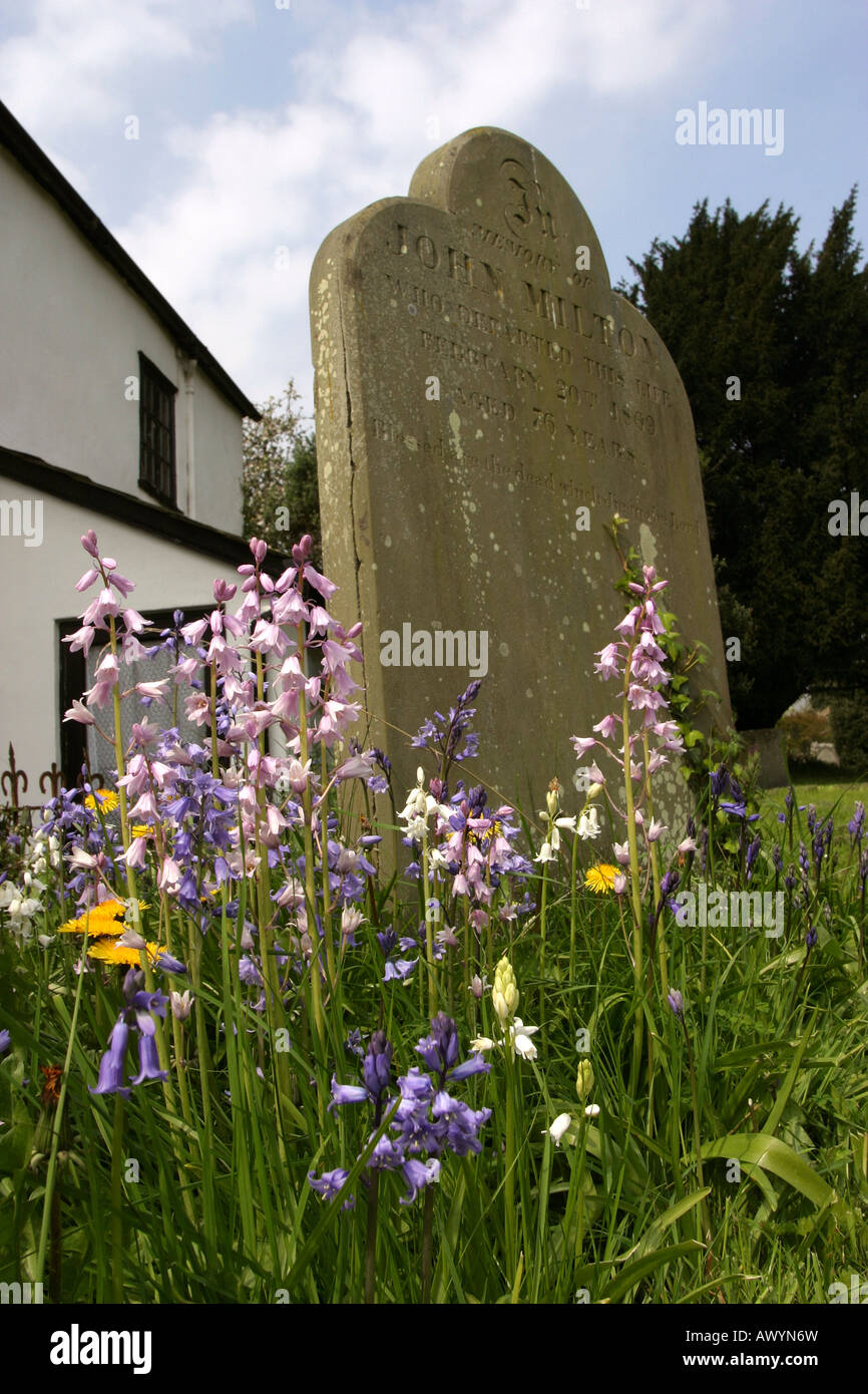 UK England Somerset Dunster St Georges Churchyard spring flowers around John Miltons grave Stock Photo