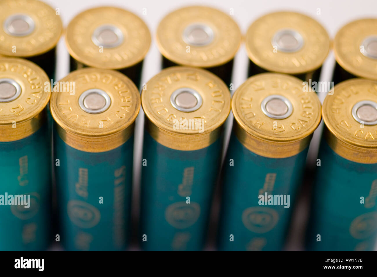 12 guage plastic case shotgun cartridges standing in two rows Stock