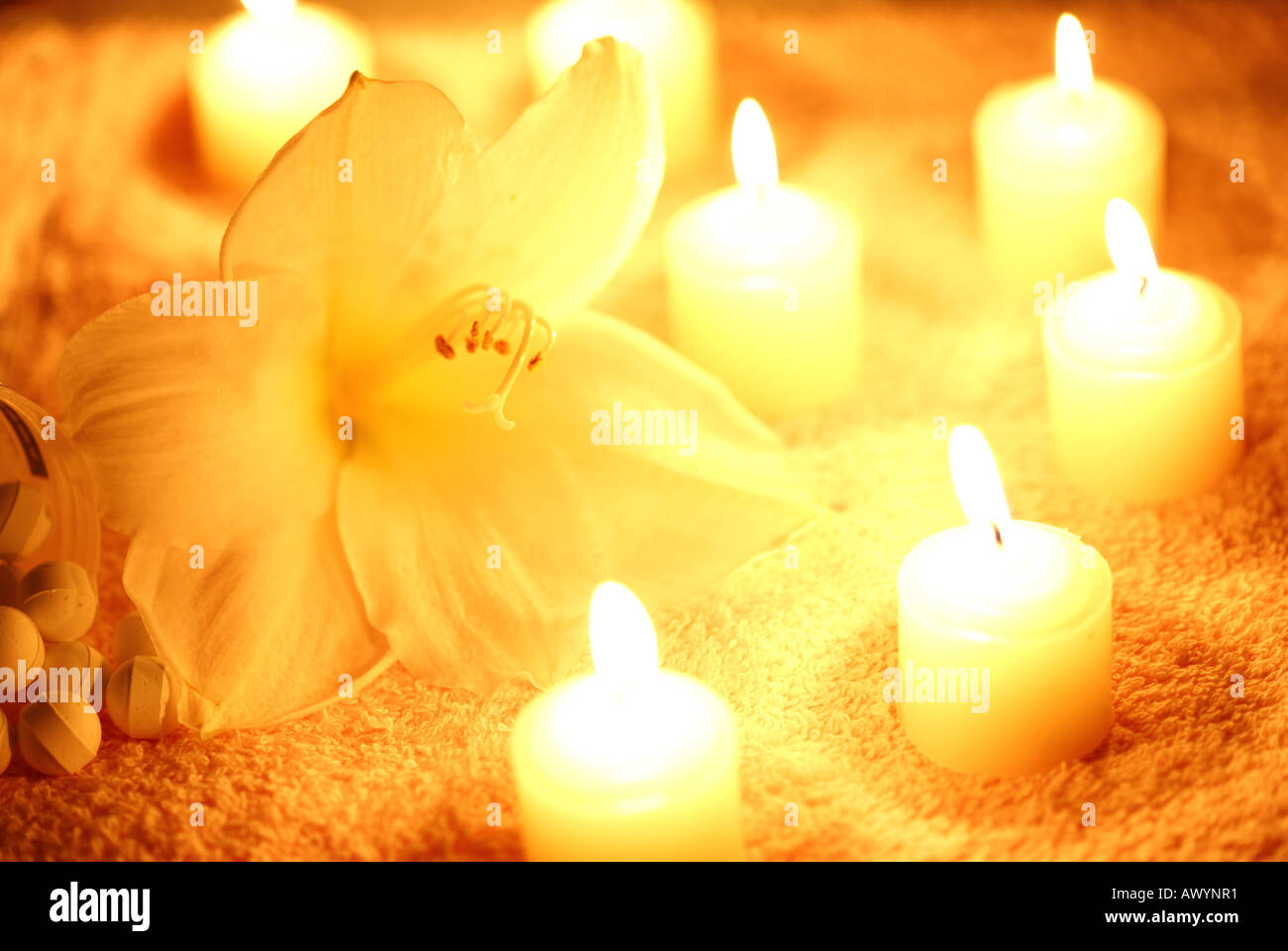 Flower with lit candles Stock Photo Alamy