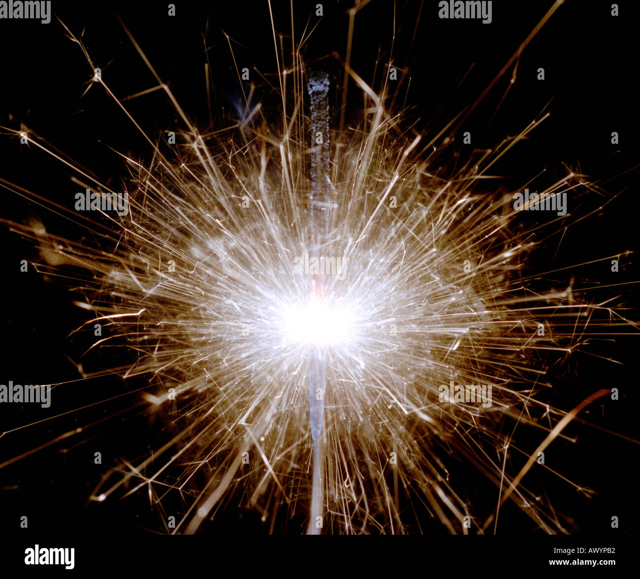 A burning sparkler. Stock Photo