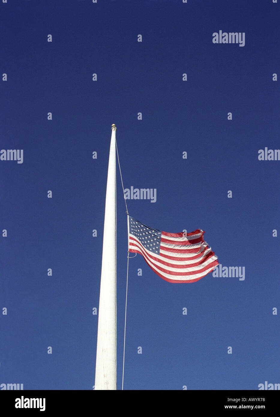 American flag flying at half mast Stock Photo Alamy