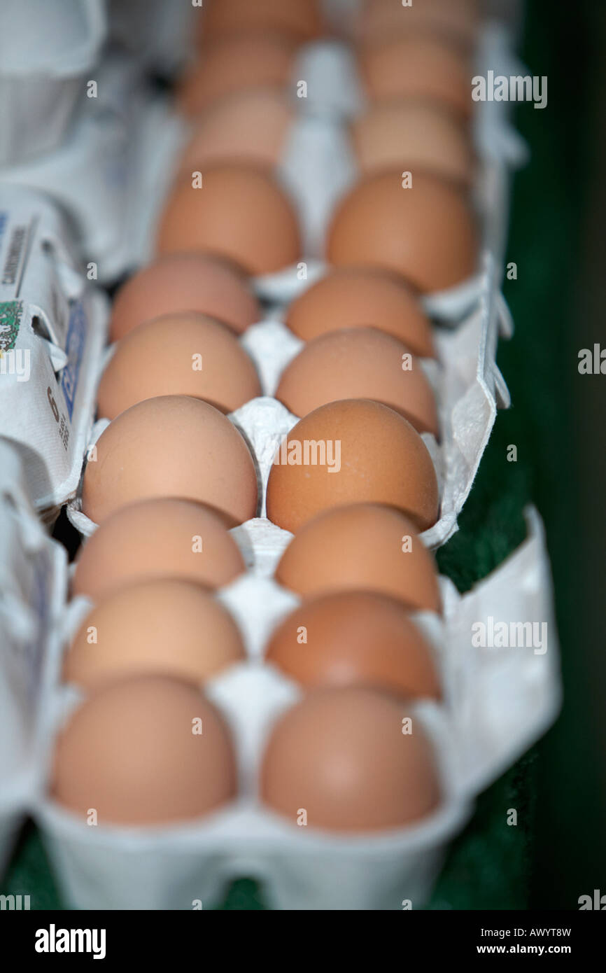 Trays Of Eggs High Resolution Stock Photography and Images Alamy