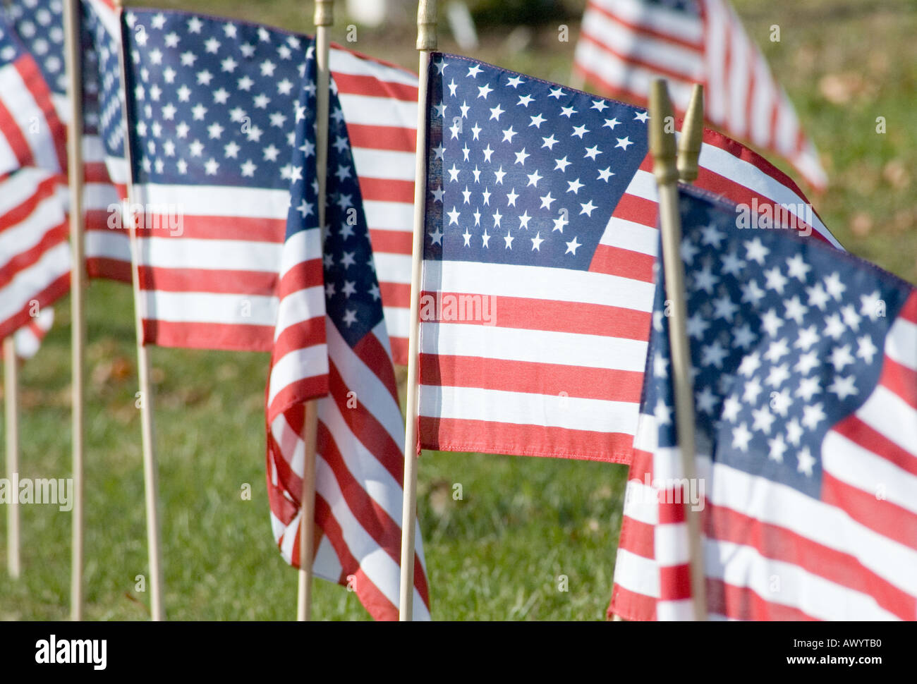 Mount wollaston cemetery hires stock photography and images Alamy