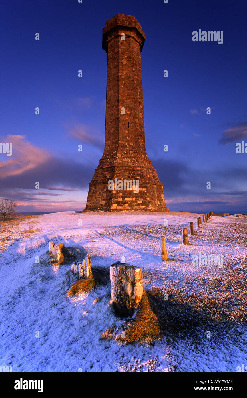 The monument erected in 1846 to Vice Admiral Sir Thomas Masterman Hardy, near Dorchester, Dorset Stock Photo