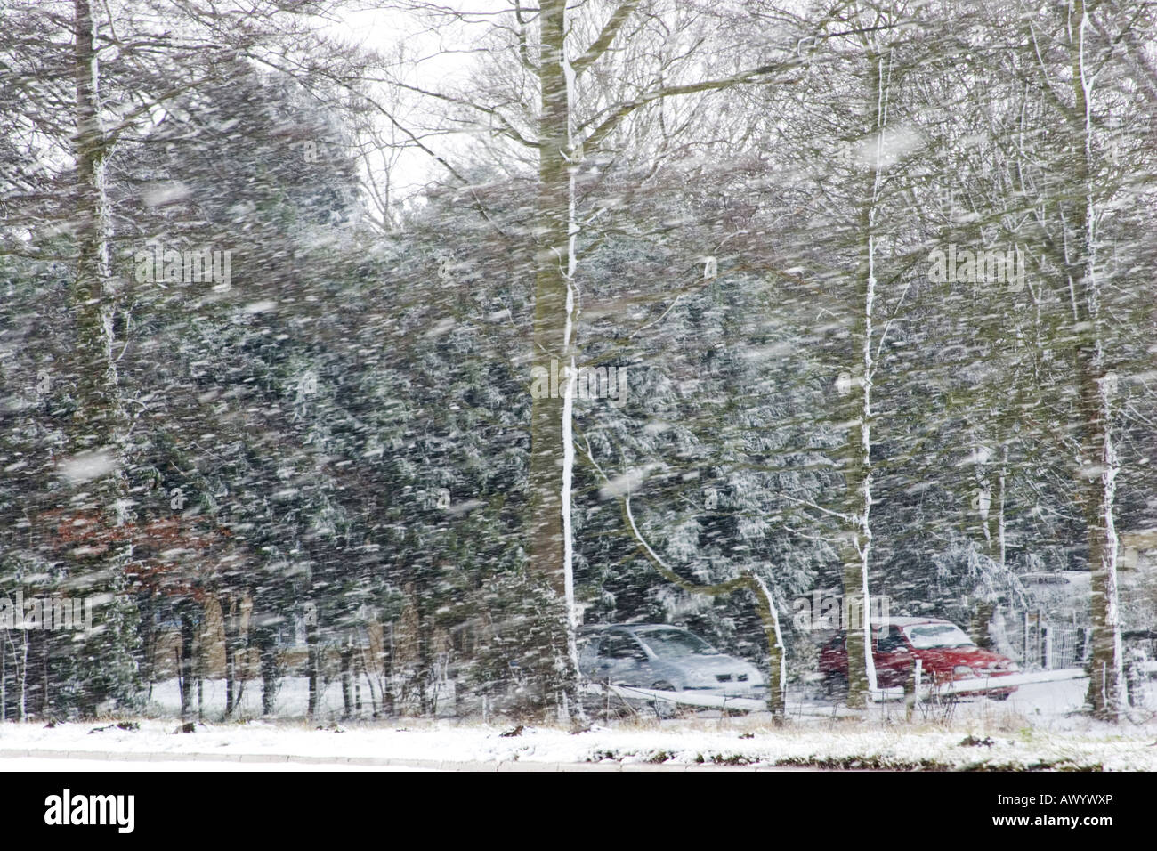 Cars driving in dangerous road conditions in a blizzard on a snowy ...